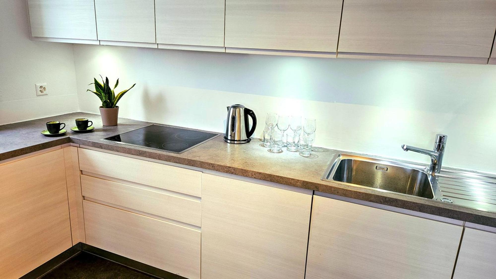 Bellavista Apartment With Free Parking Λουγκάνο Εξωτερικό φωτογραφία